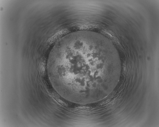 X0000087680691200705181730