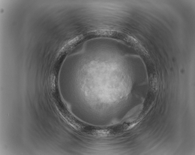 X0000087680692200705181730