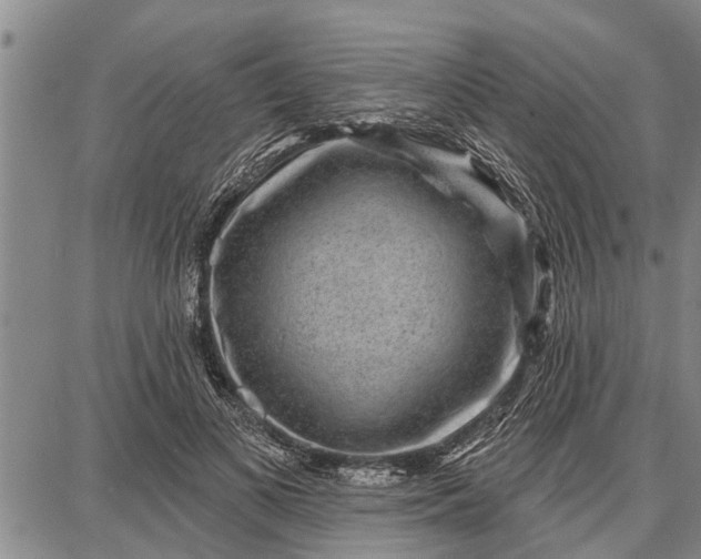 X0000087680693200705181730