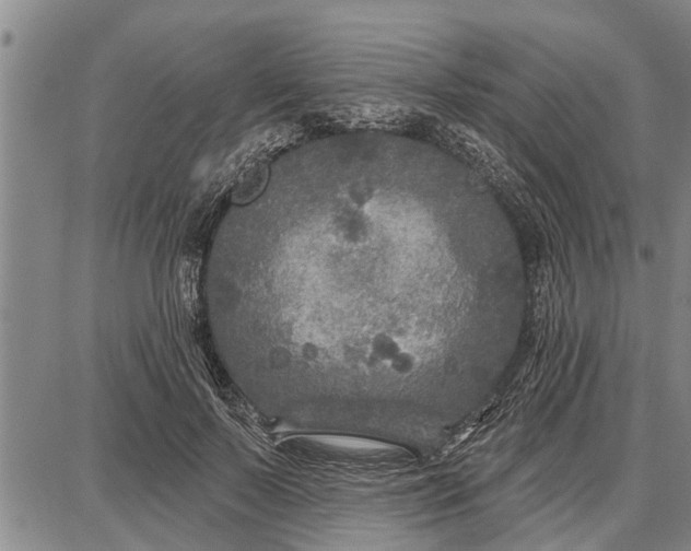 X0000087680695200705181730