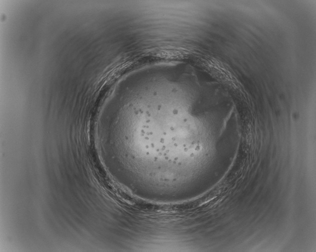 X0000087680696200705181730