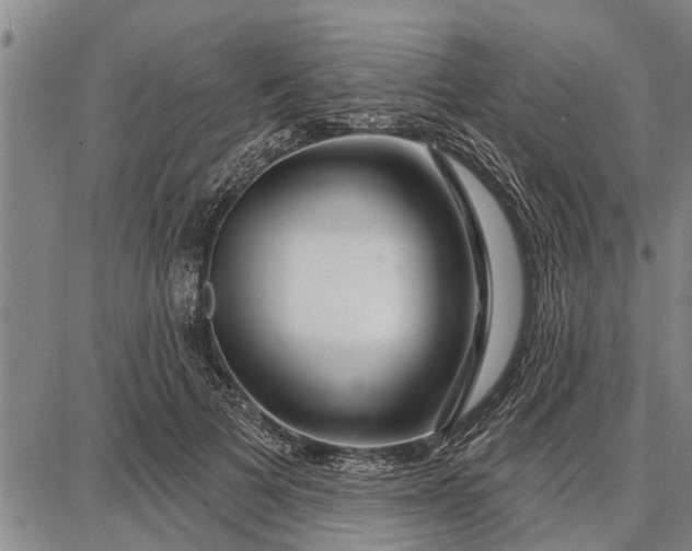 X0000087680697200705181730