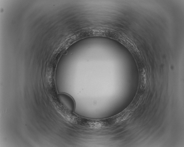 X0000087680698200705181730