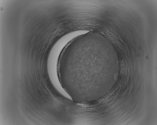 X0000087680699200705181730