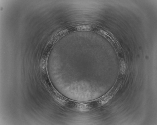 X0000087680701200705181730