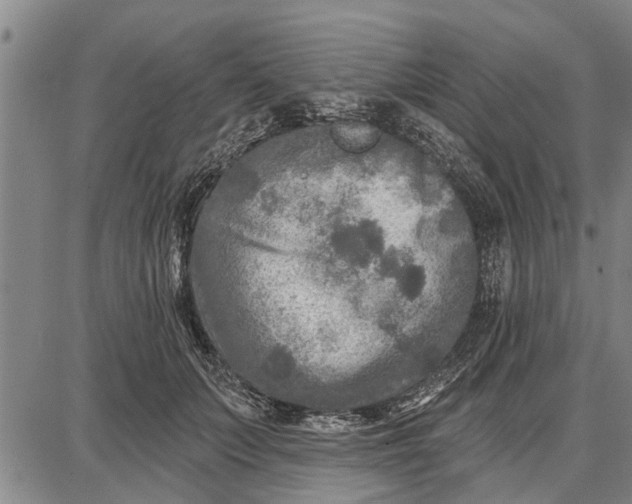 X0000087680703200705181730