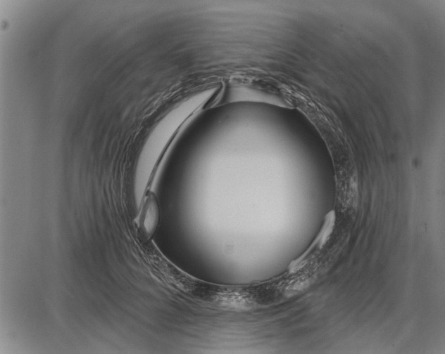 X0000087680704200705181730