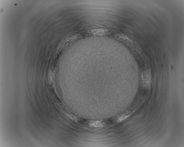 X0000087680705200705181730