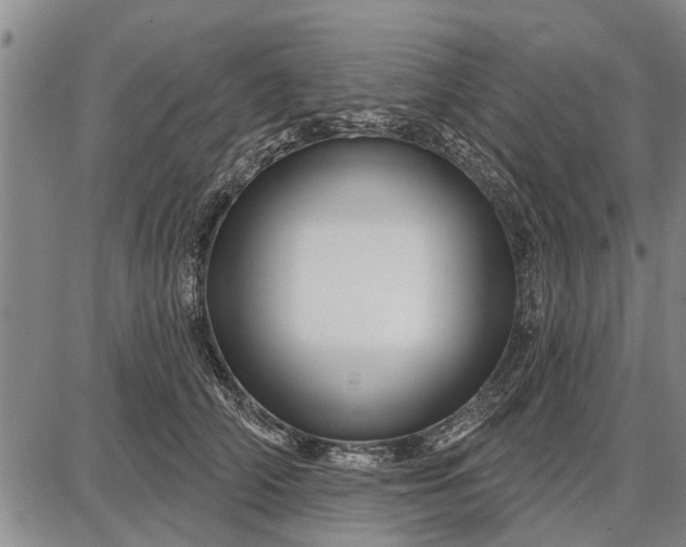 X0000087680706200705181730