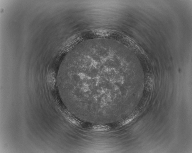 X0000087680707200705181730