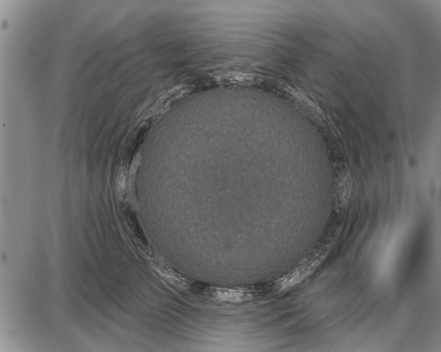 X0000087680709200705181730