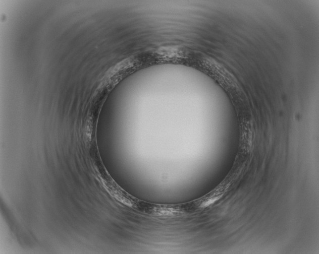 X0000087680710200705181730