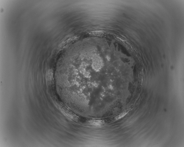 X0000087680711200705181730