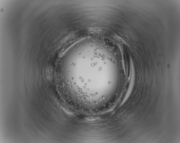 X0000087680712200705181730