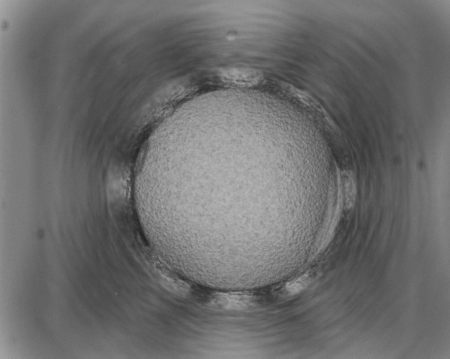 X0000087680713200705181730