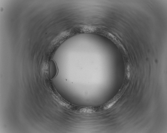 X0000087680714200705181730