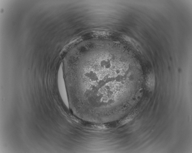 X0000087680715200705181730