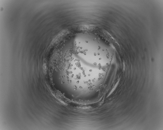 X0000087680716200705181730