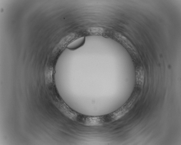 X0000087680717200705181729