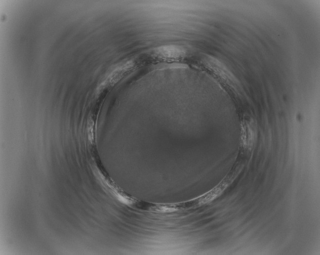 X0000087680718200705181729