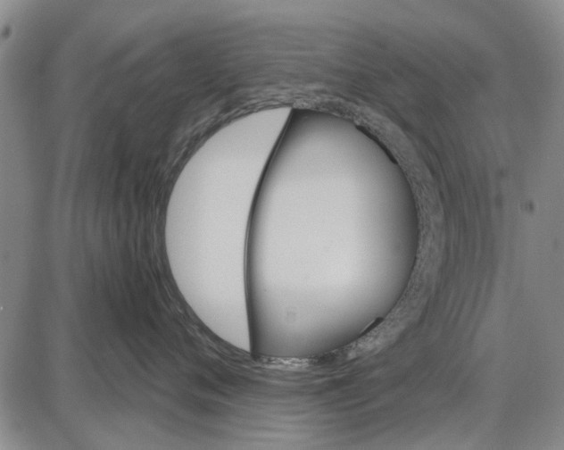 X0000087680720200705181729