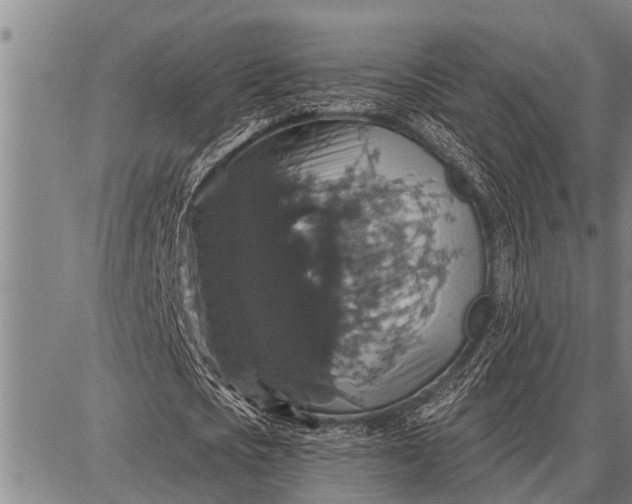 X0000087680721200705181729