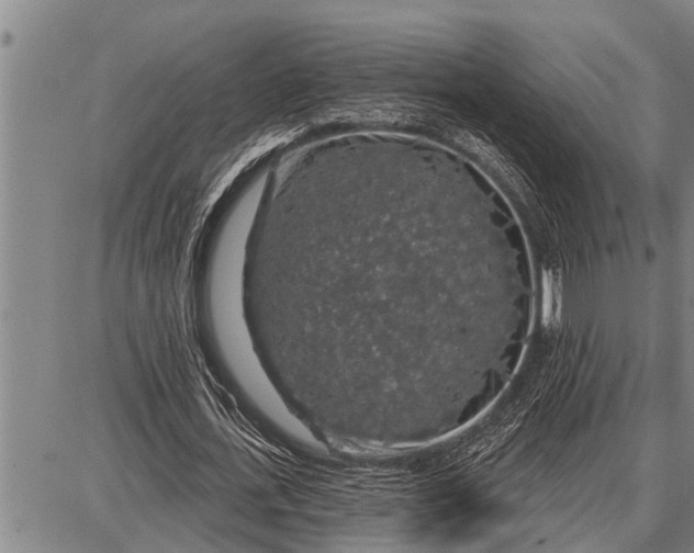 X0000087680723200705181729