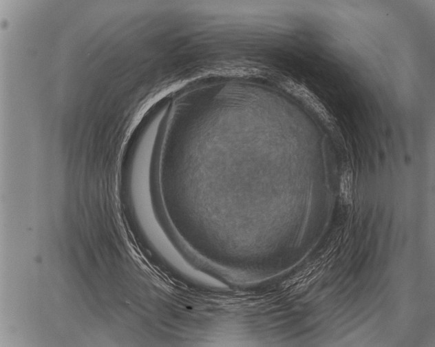 X0000087680724200705181729