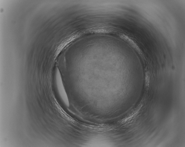 X0000087680725200705181729