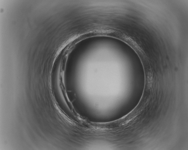 X0000087680726200705181729