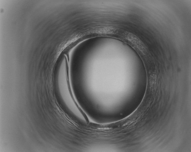 X0000087680727200705181729