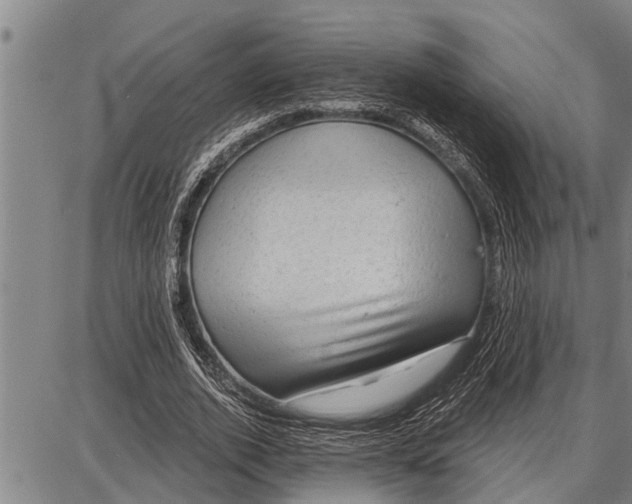 X0000087680728200705181729