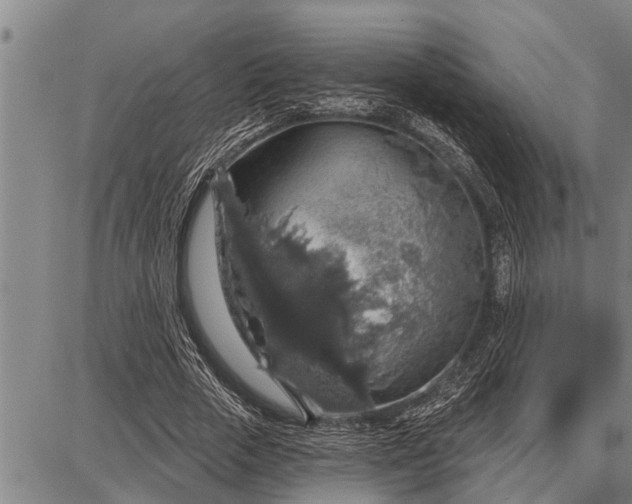 X0000087680729200705181729