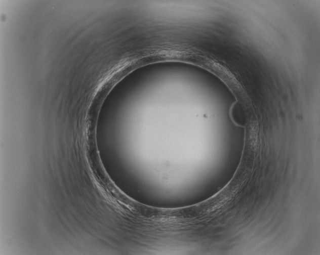 X0000087680730200705181729