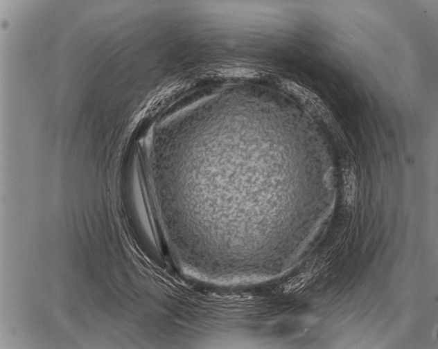 X0000087680731200705181729