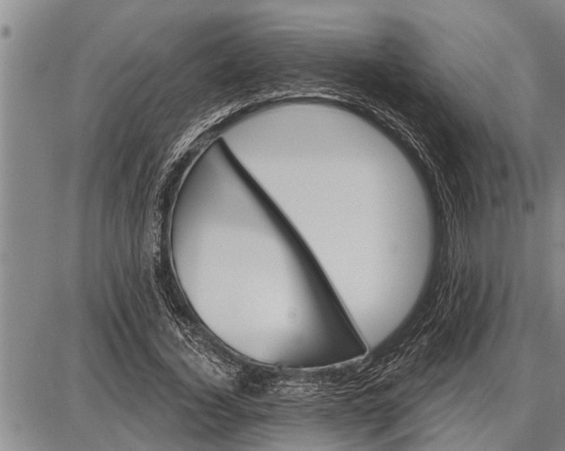 X0000087680732200705181729