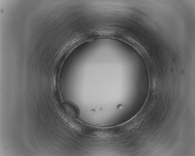 X0000087680733200705181729