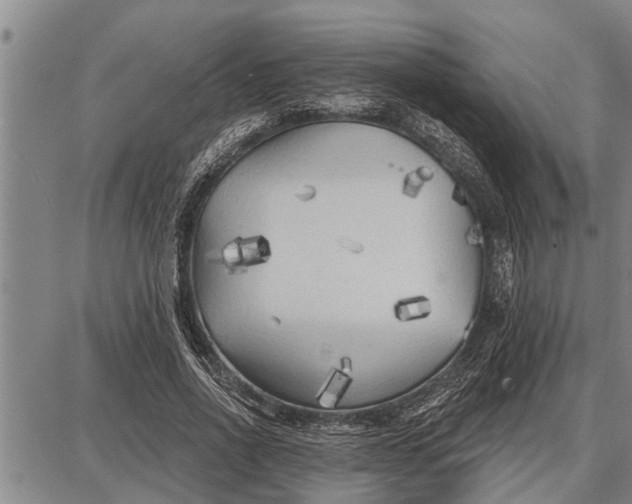 X0000087680734200705181729