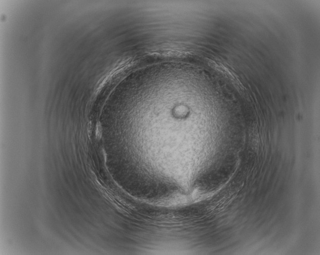 X0000087680735200705181729