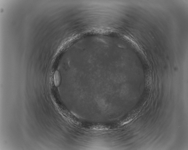 X0000087680736200705181729