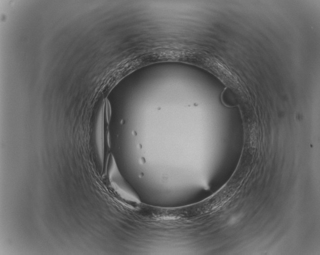 X0000087680737200705181729