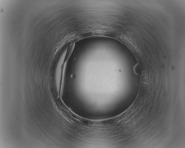 X0000087680738200705181729