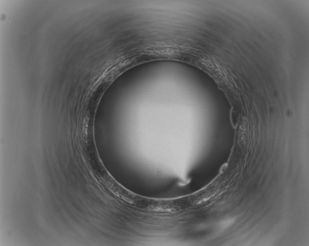 X0000087680739200705181729