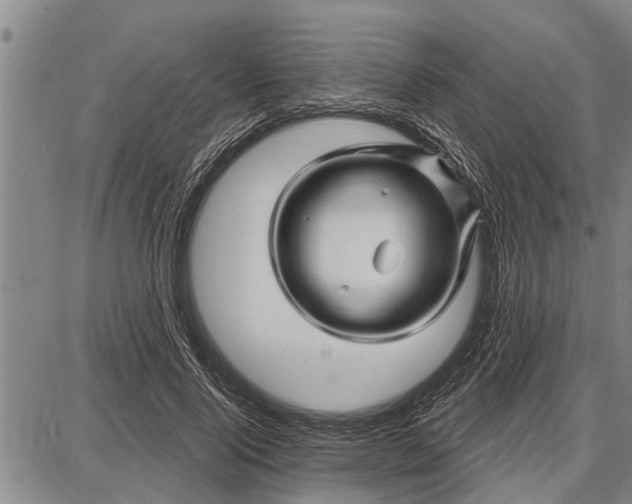 X0000087680740200705181729