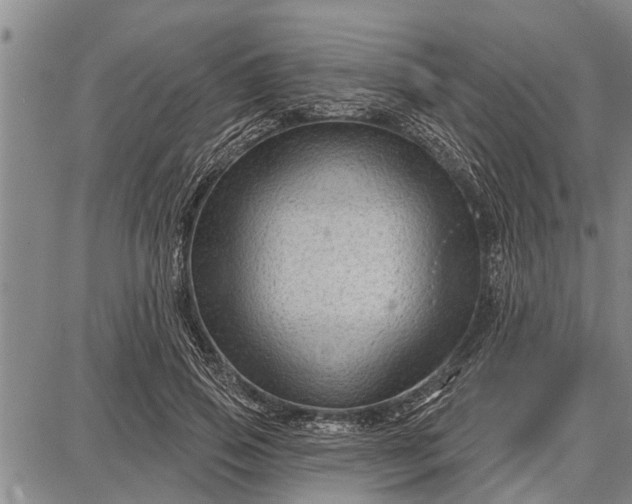 X0000087680741200705181729