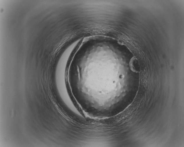 X0000087680742200705181729