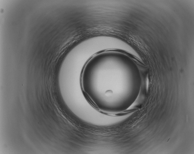 X0000087680744200705181729