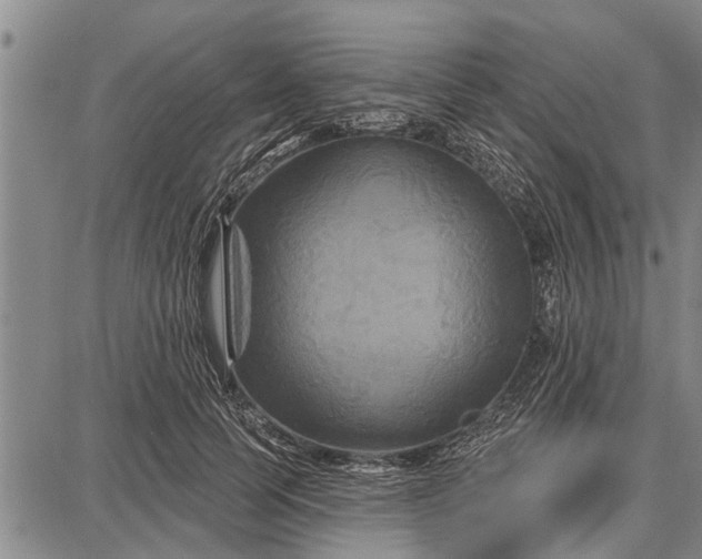 X0000087680745200705181729