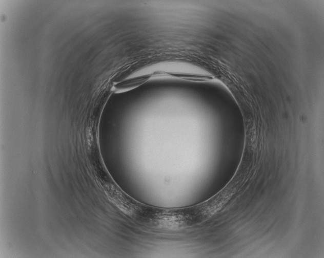 X0000087680746200705181729