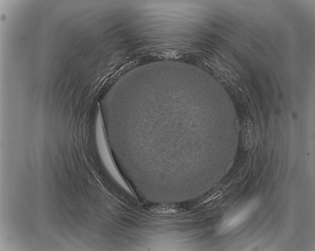 X0000087680747200705181729